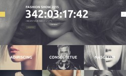 Etiam commodo convallis